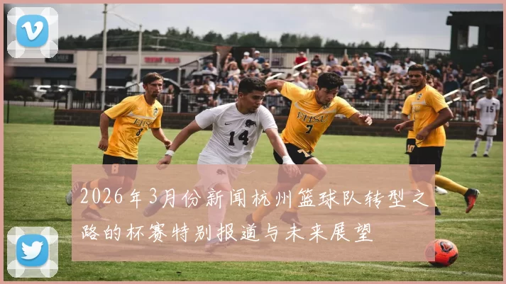 2026年3月份新闻杭州篮球队转型之路的杯赛特别报道与未来展望