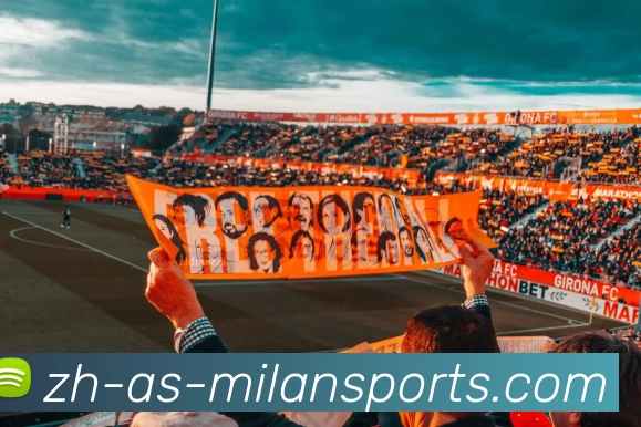 米兰体育入口发展历程